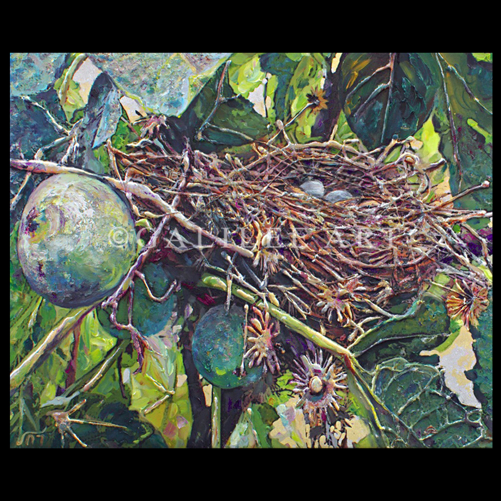 PROMISE NEST