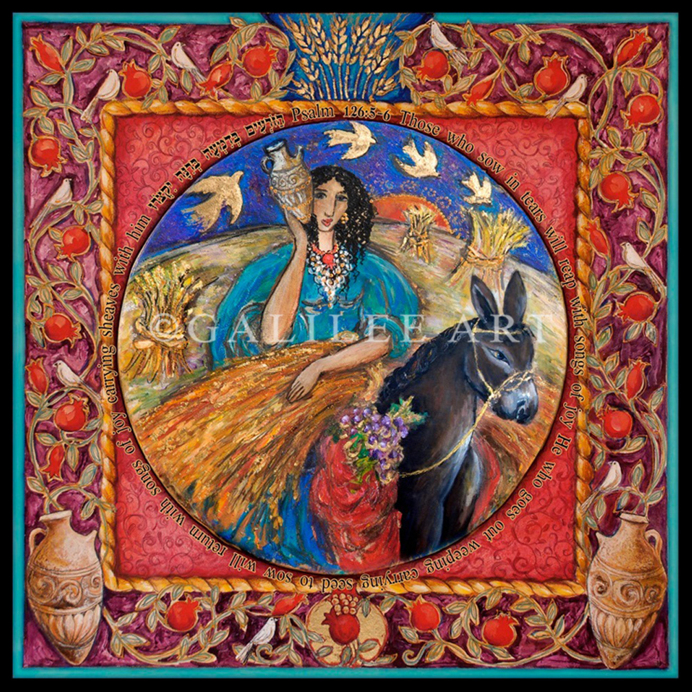 AVIGAIL-pomegranates